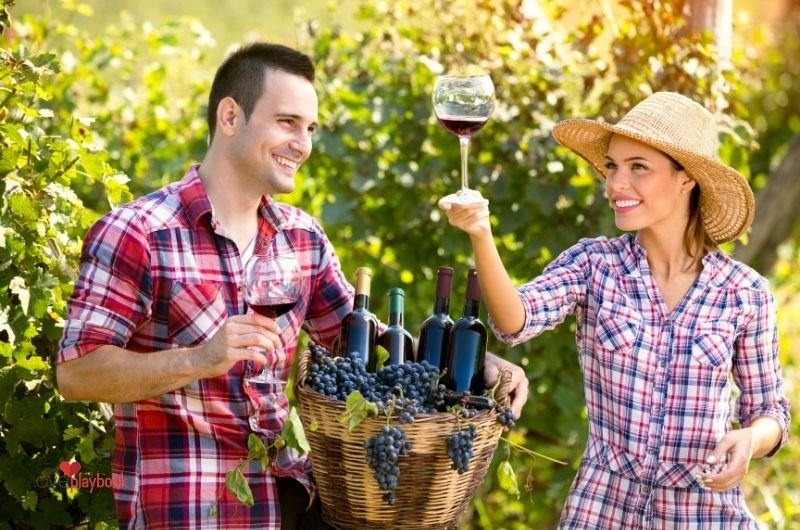 Anniversary Date Ideas -  wine tasting